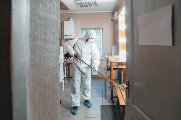 Best Mold Remediation for Healthcare Facilities  in Quartzsite, AZ